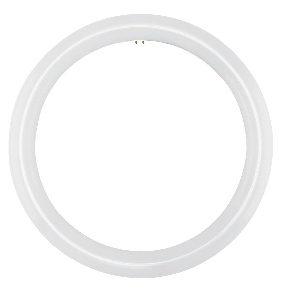 NYLL T9 Circline LED Lamp 16 Inch 40W Replacement Bulb Cool White (410 ...