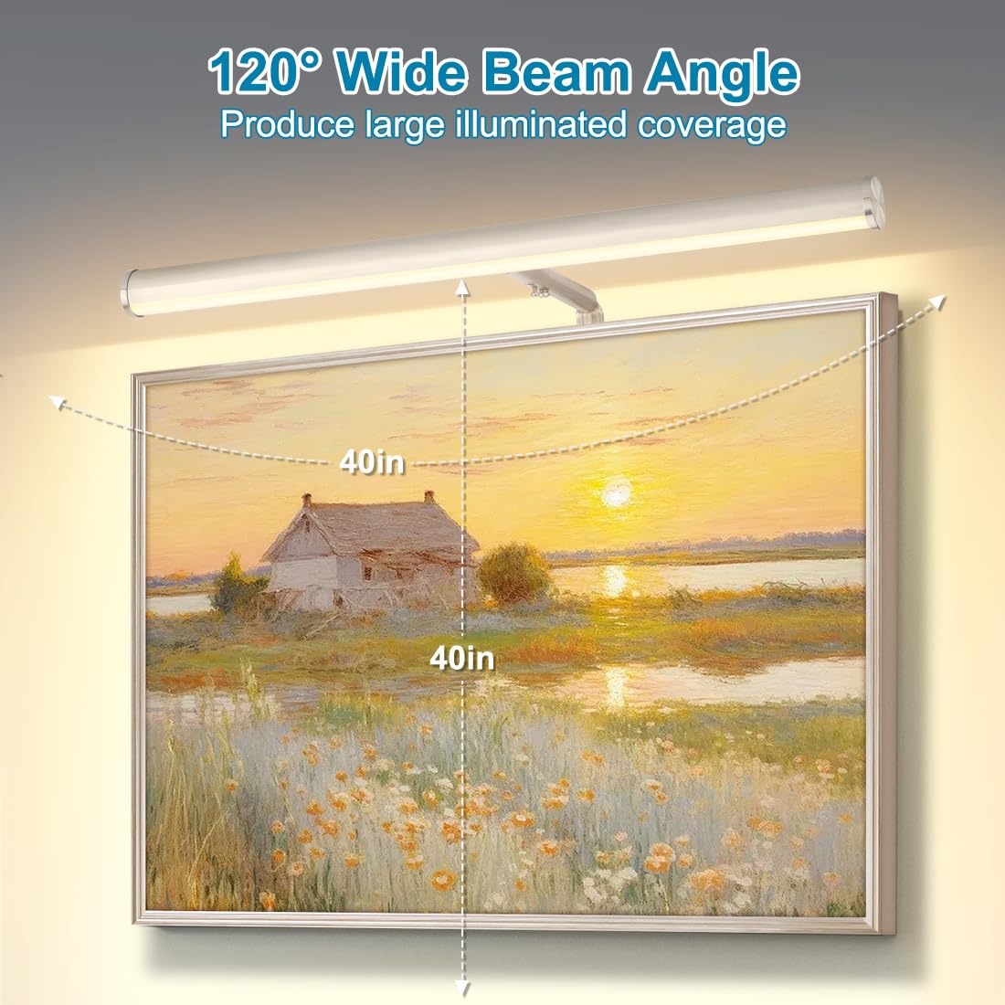 Xbuyee Plug in LED Picture Lights for Paintings, 16inch 3000K