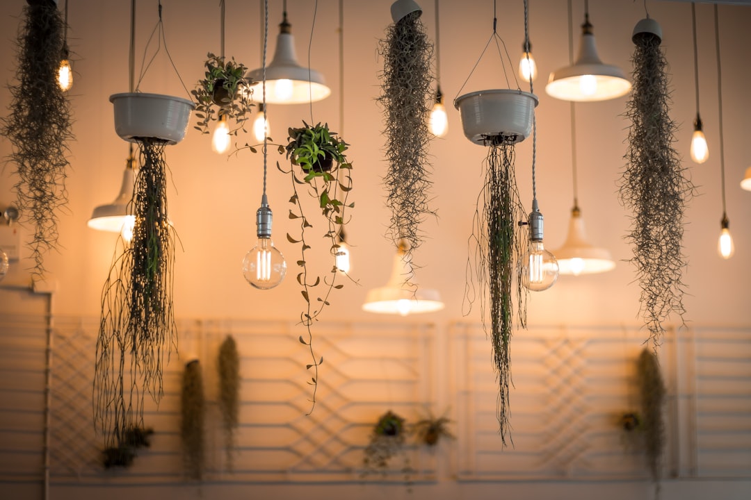 Common Home Lighting Mistakes: How to Avoid Them for a Safer, More Efficient, and Stylish Home