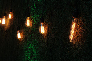 Emerging Trends in Home and Holiday Lighting: Personalization, Sustainability, and Technology Integration