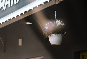 Mastering Residential Lighting Design: Expert Tips on Layering Ambient, Task, and Accent Lighting