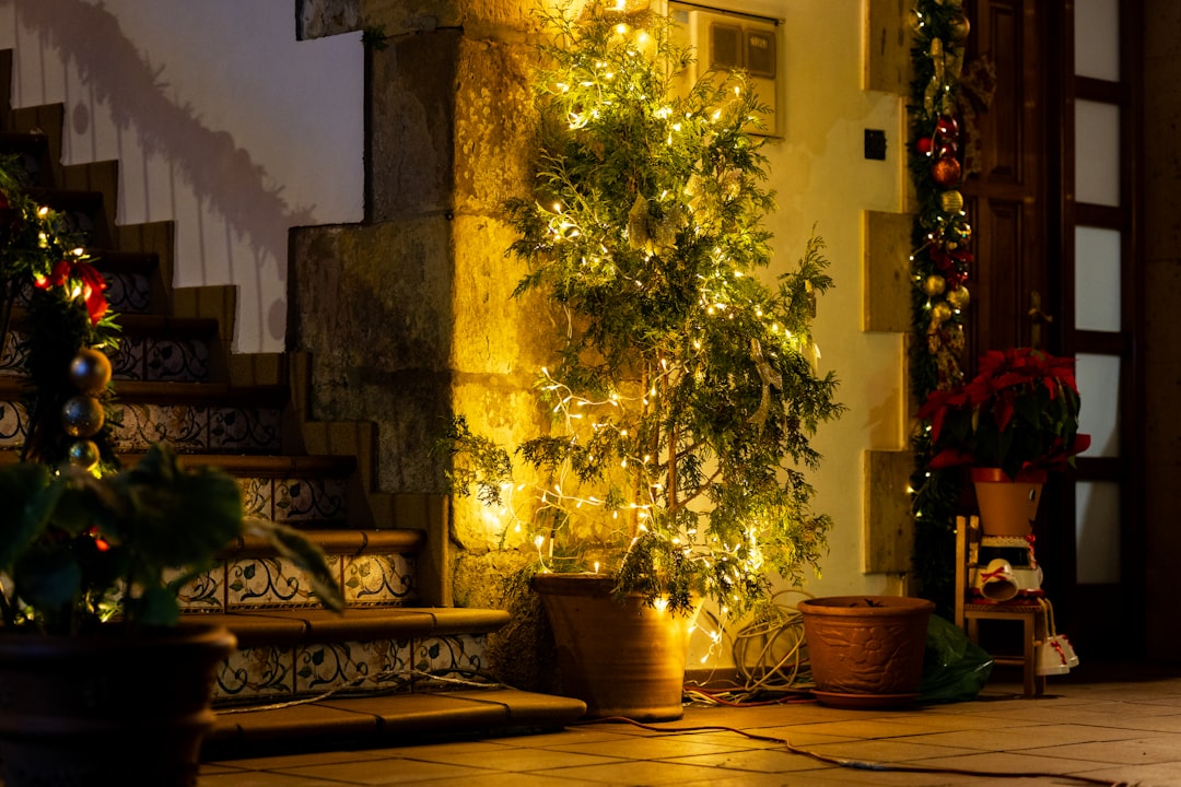 Elevate Your Holiday Decor: Inspiring Outdoor Christmas Lighting Ideas for Stunning Curb Appeal