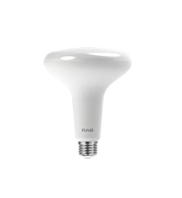 RAB Lighting BR40-12-827-DIM Outdoor LED Bulb, Metal, Dimmer Compatible, Image