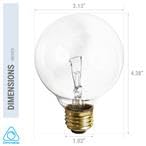(4 Pack) G25 Incandescent Incandescent Light Bulb 2700K Soft Light, Decorative Globe Light Bulbs,E26 Medium Base, Perfect For Pe