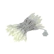 Novelty Lights 24Ft 70 Led C6 Led Christmas String Lights, Outdoor Commercial Grade Led String Lights, Tree Decorations (Warm Wh