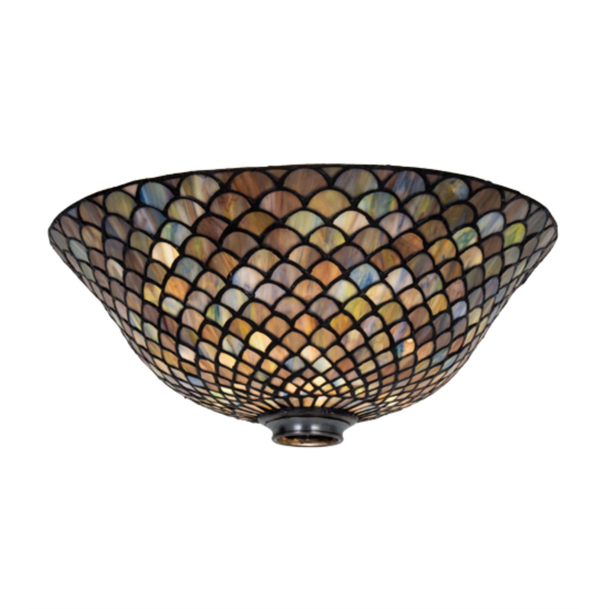 16 inch FISH SCALE/2 inch FITTER RING