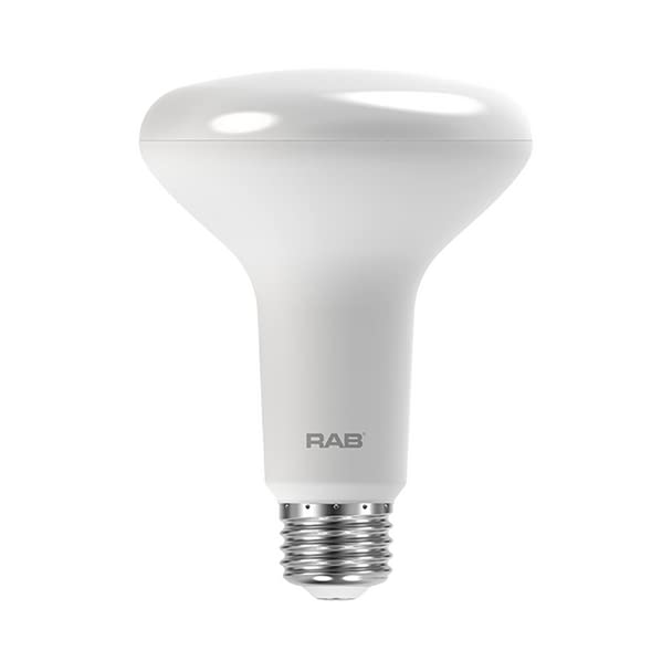 Rab Lighting Br30-7.5-830-Dim Outdoor, Image