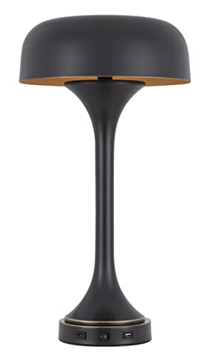 Cal Mushroom Cloud Metal Desk Lamp with USB & Type C Ports, 40W x 2, Dark Bronze, 22inx12inx12in, Model BO-3053TB-DB