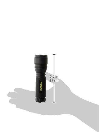 Rayovac Roughneck LED Flashlight, 220 Lumen, Aircraft Grade Aluminium, Black, Model RN3AAA-BXT, EDC with Holster & AAA Batteries Included
