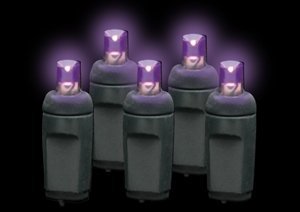 OMG! Premium Grade 5MM 50 LED Purple Frost Holiday Lights String with Black Wire