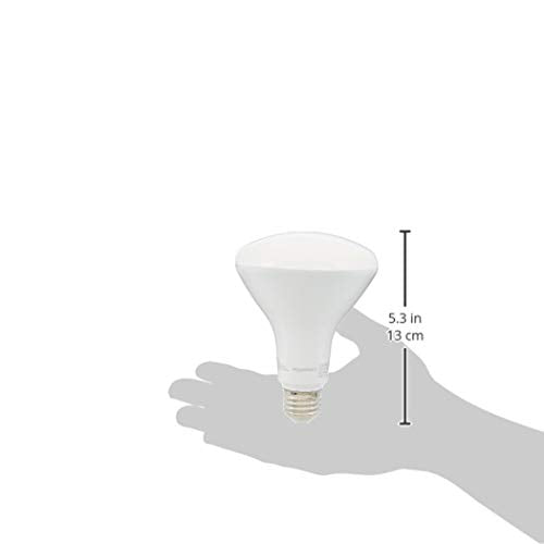large online retailer Basics BR30 LED Light Bulb, 65W Equivalent, Dimmable, Soft White 2700K, 11W, 16-Pack, E26 Standard Base