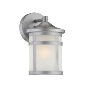 Acclaim 4714Bs Visage Collection 1-Light Wall Mount Outdoor Light Fixture, Brushed Silver