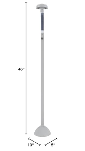 Spt Easyeye Floor Lamp With Ionizer, 4 Tubes, Adjustable Goose Neck, Gray