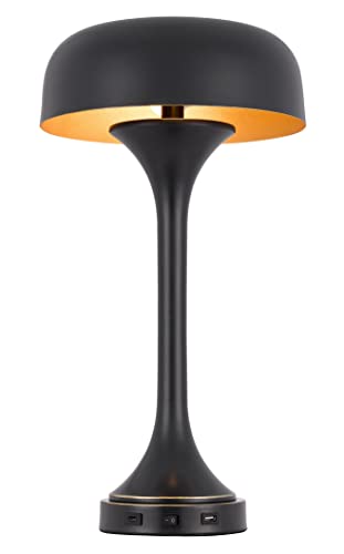 Cal Mushroom Cloud Metal Desk Lamp with USB & Type C Ports, 40W x 2, Dark Bronze, 22inx12inx12in, Model BO-3053TB-DB