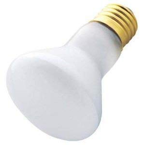 100W Lava Lamp Light Bulb - R20 Medium Base for Spas & Pools ...