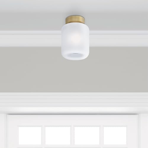 Westinghouse 5229100 14 Watt (100 Watt Equivalent) A19 Daylight Led Light Bulb, Medium Base