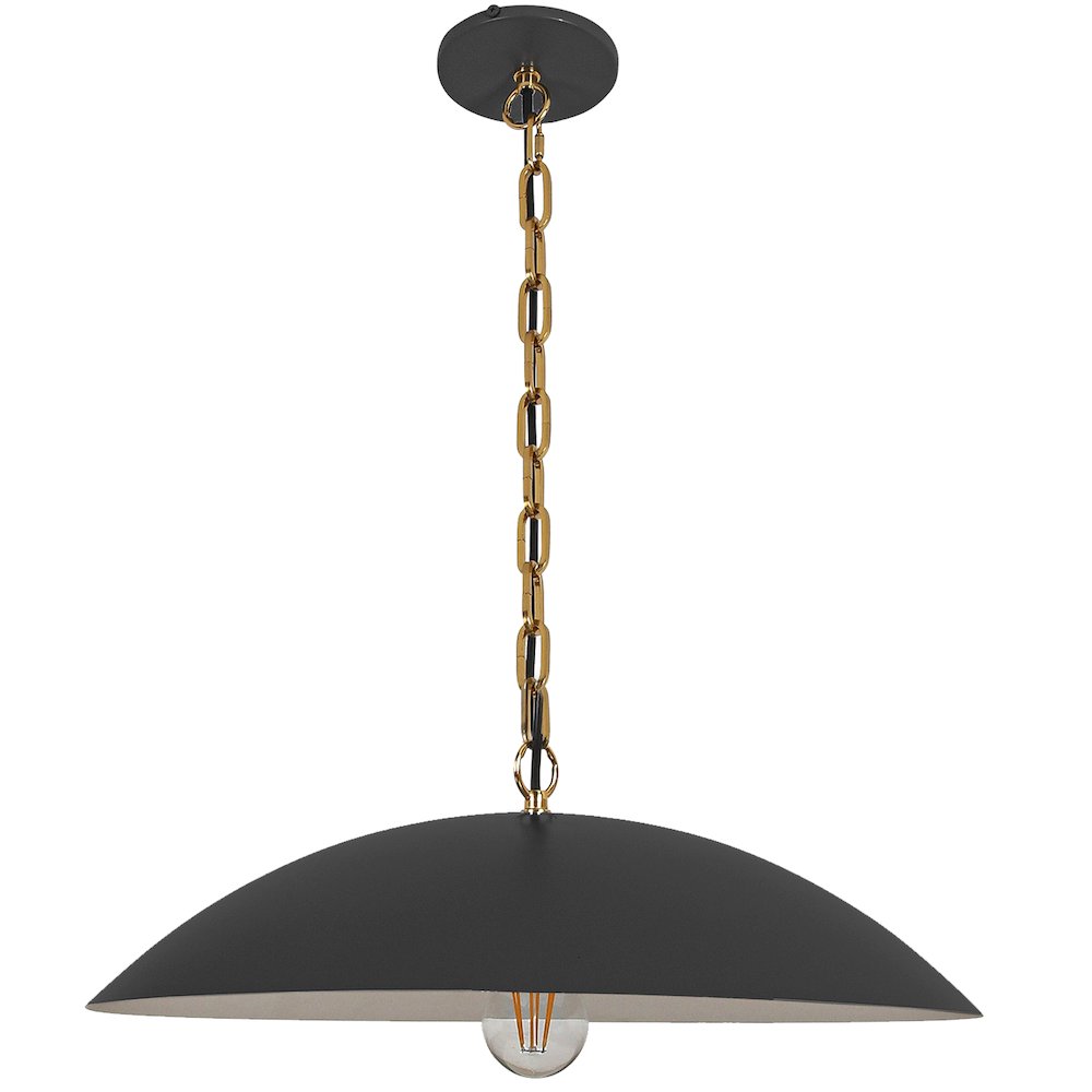 1 Light Pendant in Matte Black w/ Aged Brass Chain