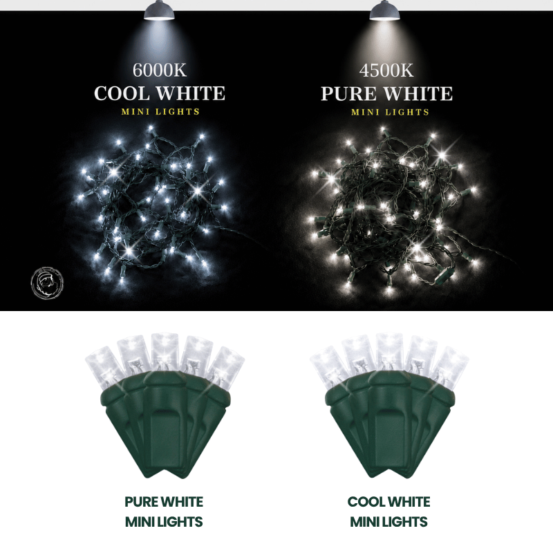 LED Mini Lights 5MM Cool White Twinkle Green Wire  6" Spacing
