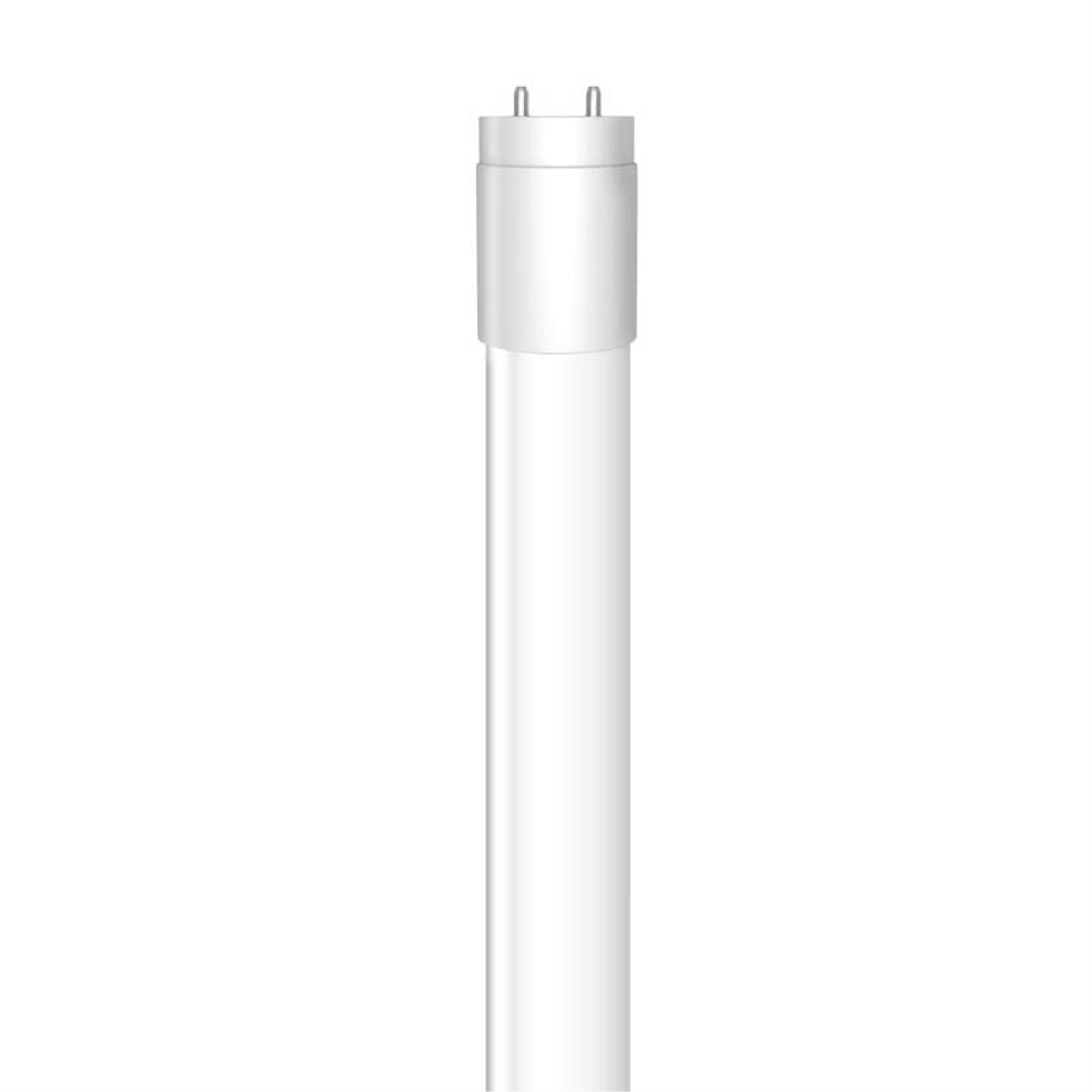 INFLTBLE SALLY W/TRT SCK (Pack of 10)