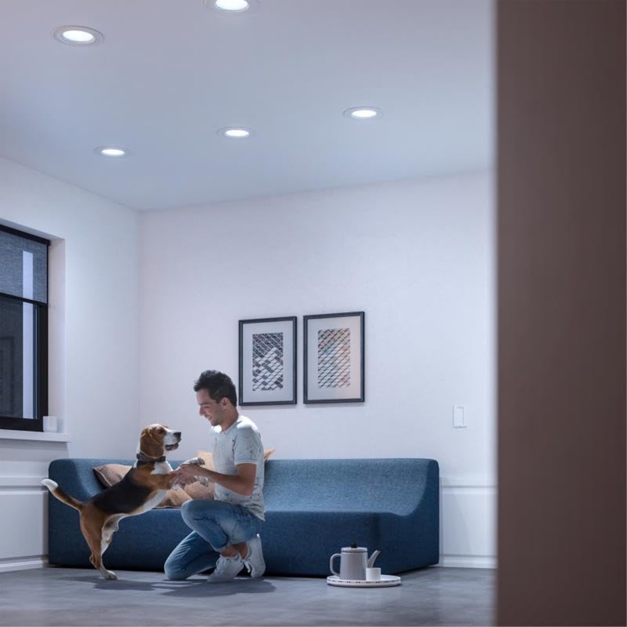 Philips Br30 E26 (Medium) Led Floodlight Bulb Daylight 100 Watt Equivalence 1 Pk