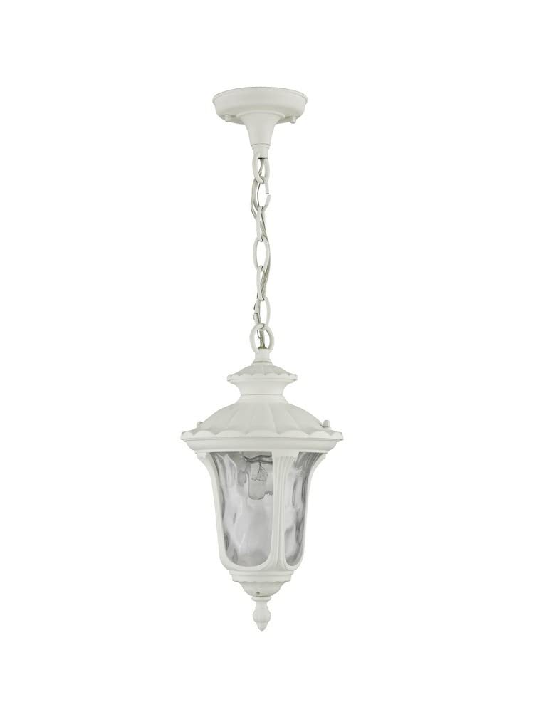 Livex Lighting 7849-07 Oxford 1-Light Outdoor Hanging Lantern, Bronze
