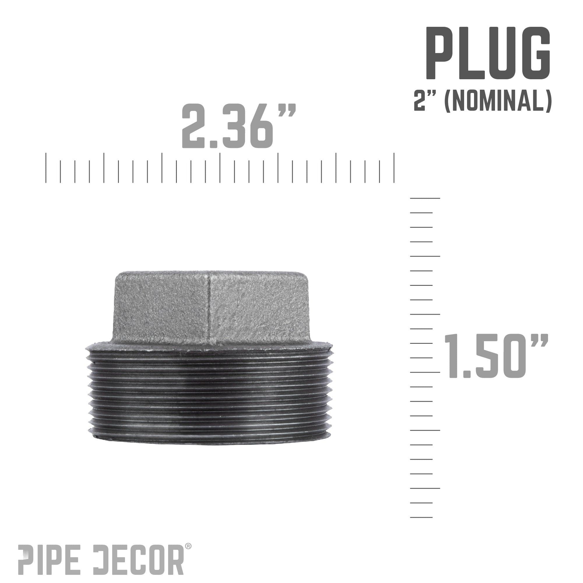 2 in. Black Plug
