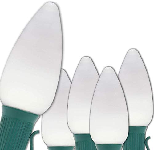 Wintergreen Lighting C9 OptiCore LED Commercial Outdoor Christmas Lights - Heavy Duty Christmas String Lights; Green Wire (25 Li