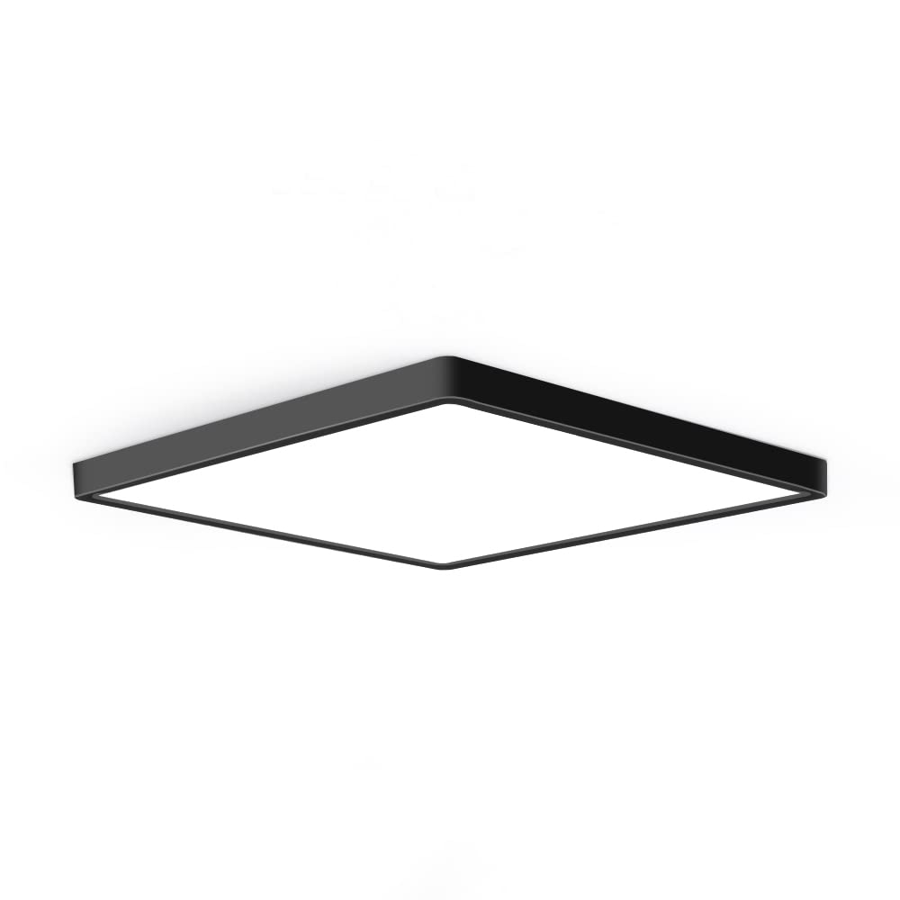 12Inch 24W Led Flush Mount Ceiling Light, 5000K Square Led Ceiling Light, Black Flat Panel Lights For Bedroom, Kitchen, Living R