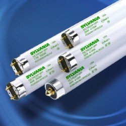 SYLVANIA 32W Fluorescent Light Bulb - Extended Performance, Model 046135217203, 1 Count (Pack of 1)