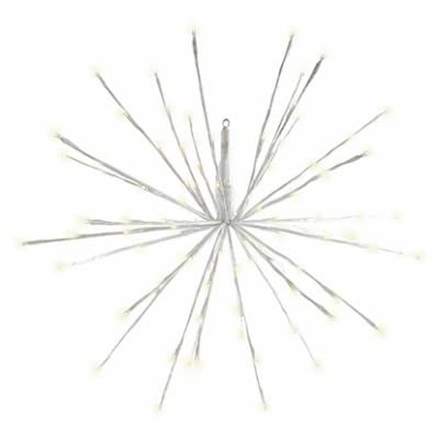 Holiday Bright Lights LED-24RB-GWW Wire LED Sphere, 20 Branches, 8 Functions, Radiant Blast Warm White, 24- - Quantity 6