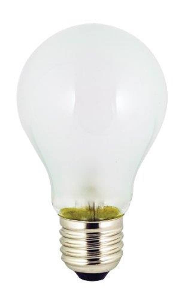 Ancor 531025 Marine Grade Electrical Light Bulb (Medium Screw/Standard Base, 12-Volt, 25- Watt, 2.08-Amp, 2-Pack)