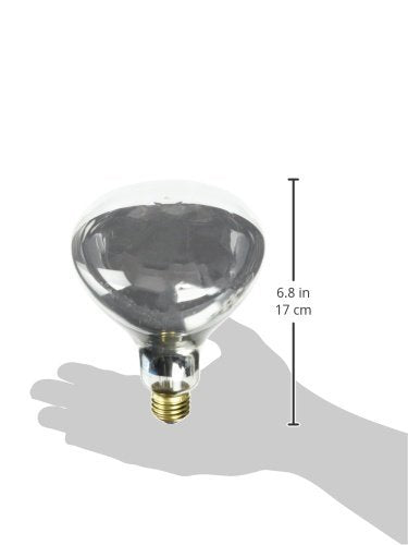 Westinghouse Incandescent R40 Light Bulb 250 Watt 120 Volt Clear Plastic 1 Pack Model 0391600