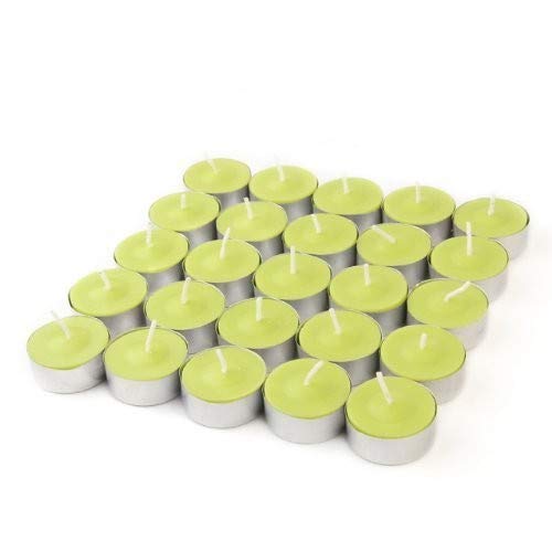 Zest Candle 100-Piece Tealight Candles, Lime Green Citronella