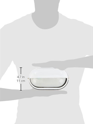 Access Lighting Nauticus Wet Location Bulkhead Light - Aluminum, Frosted Glass Shade, White Finish, Model 20291-WH/FST