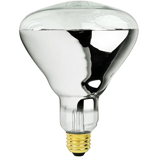 BULBMASTER 250W R40 Clear Infrared Flood Light Bulb, Medium E26 Base, 1 Count