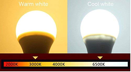 KONPWAY 12V Low Voltage LED Light Bulbs, Daylight 7W, Plastic, A-3, 2-Pack
