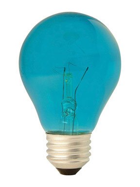 Ge 25W A19 Incandescent Bulb E26 Soft White, 1-Pack - Energy Efficient Lighting
