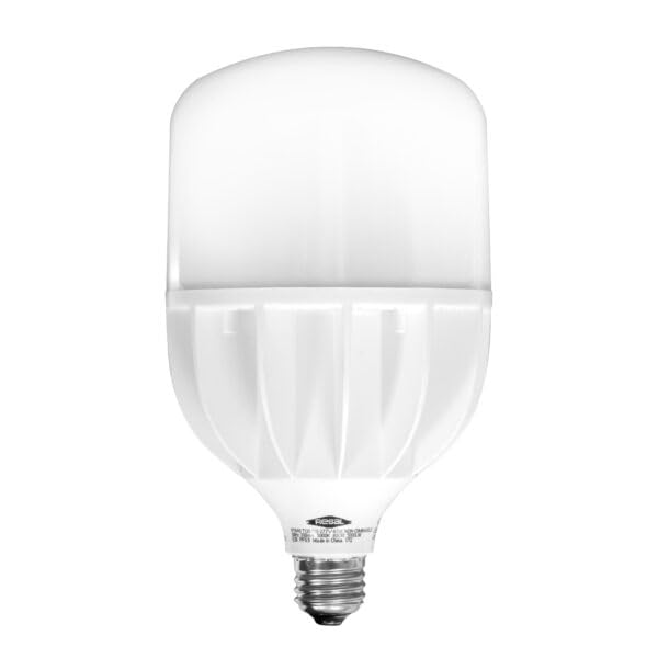 Regal Lighting Rt640 Medium Base General Purpose 40-Watt Equivalent To 300-Watt Light Bulb, Daylight (Daylight, 1 Rt640 Light Bu