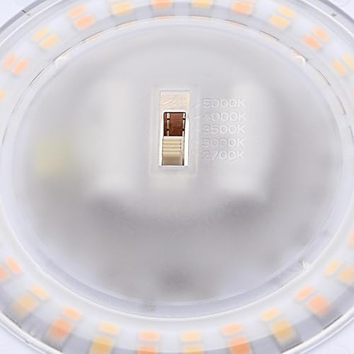 Westinghouse 6133700 Makira Traditional One-Light, 6 Inch 11 Watt Dimmable Led Indoor/Outdoor Surface Mount Fixture With Color T