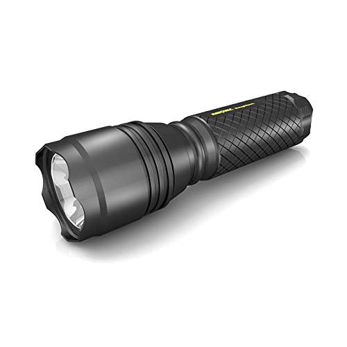 Rayovac Roughneck LED Flashlight, 220 Lumen, Aircraft Grade Aluminium, Black, Model RN3AAA-BXT, EDC with Holster & AAA Batteries Included