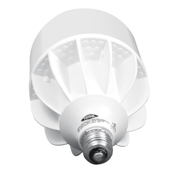 Regal Lighting Rt640 Medium Base General Purpose 40-Watt Equivalent To 300-Watt Light Bulb, Daylight (Daylight, 1 Rt640 Light Bu