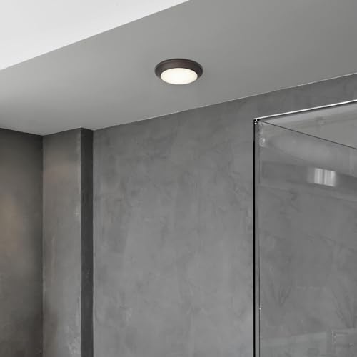 Westinghouse 6134100 Makira Traditional One-Light, 7.5 Inch 16 Watt Dimmable Led Indoor/Outdoor Selectable Surface Mount Fixture