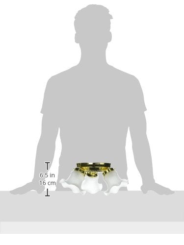 Boston Harbor Dimmable Ceiling Light Fixture, 3x60W A19/CFL, Metal, White, Model F6BB03-22013L