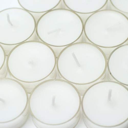 Zest Candle Tealight Candles, 50-Pack, White Citronella, 1.5in Diameter x 0.75in H, Model CTZ-022