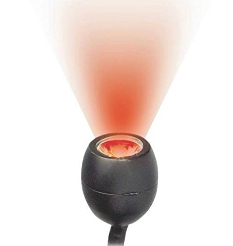 Little Giant LXE2-R, 2-Pack Extra Egglite with Red LED for Pond