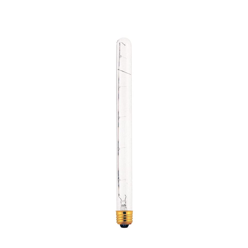 Bulbrite Light Bulb, Clear Glass, 1 Count, Model 705140