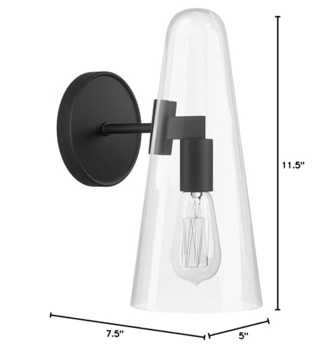 Beacon 1-Light Wall Sconce in Clear Black