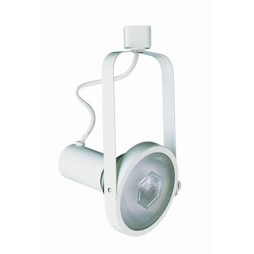 Cal Lighting Jt-241-Wh Line Voltage Fixture,Par 30, 2 Wire