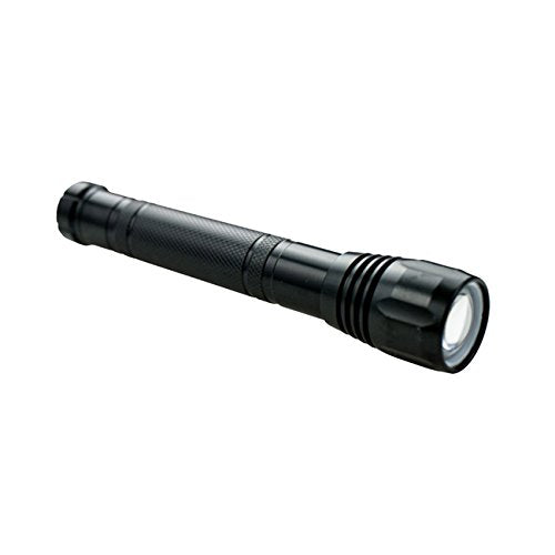 Dorcy 150 Lumen 2-AA Aluminum LED Black Flashlight