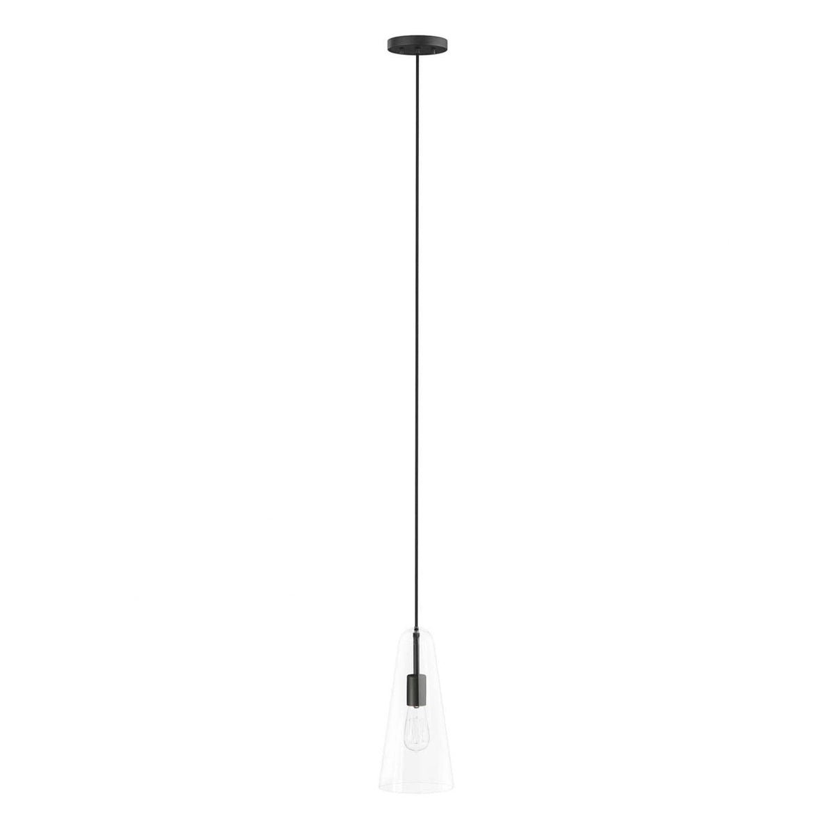 Beacon 1-Light Pendant Light In Clear Black